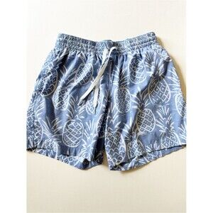 Chubbies Blue Pineapple The Thigh-napples swim trunks